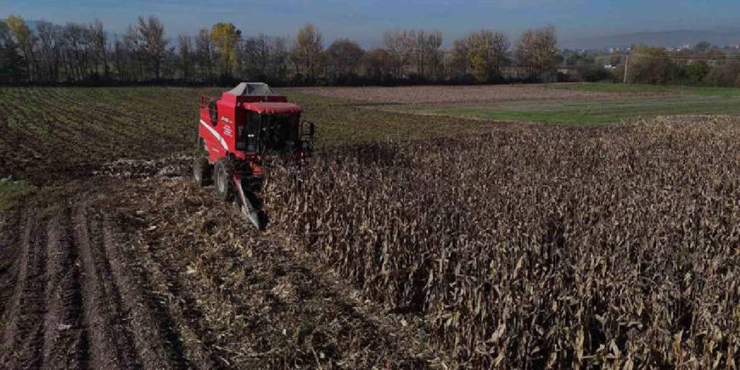 2025’in ilk hasadı başladı, kuraklık burayı da vurdu! Verimdeki düşüş, fiyatları da etkiledi 1